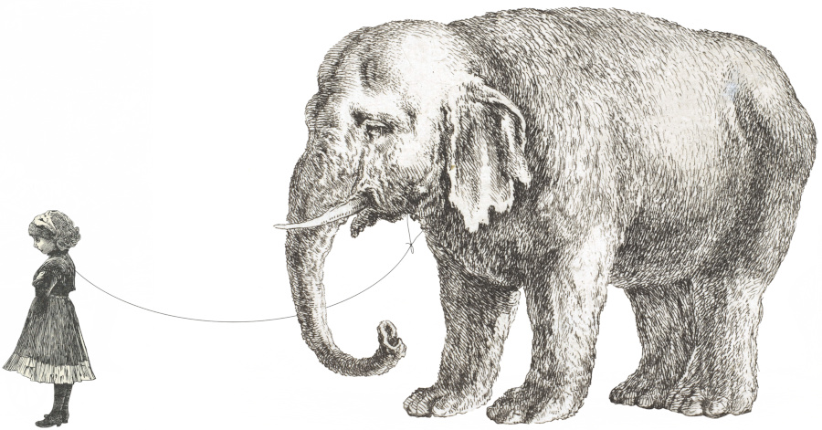Unha nena pequena leva un elefante atado polo pescozo cun fío.